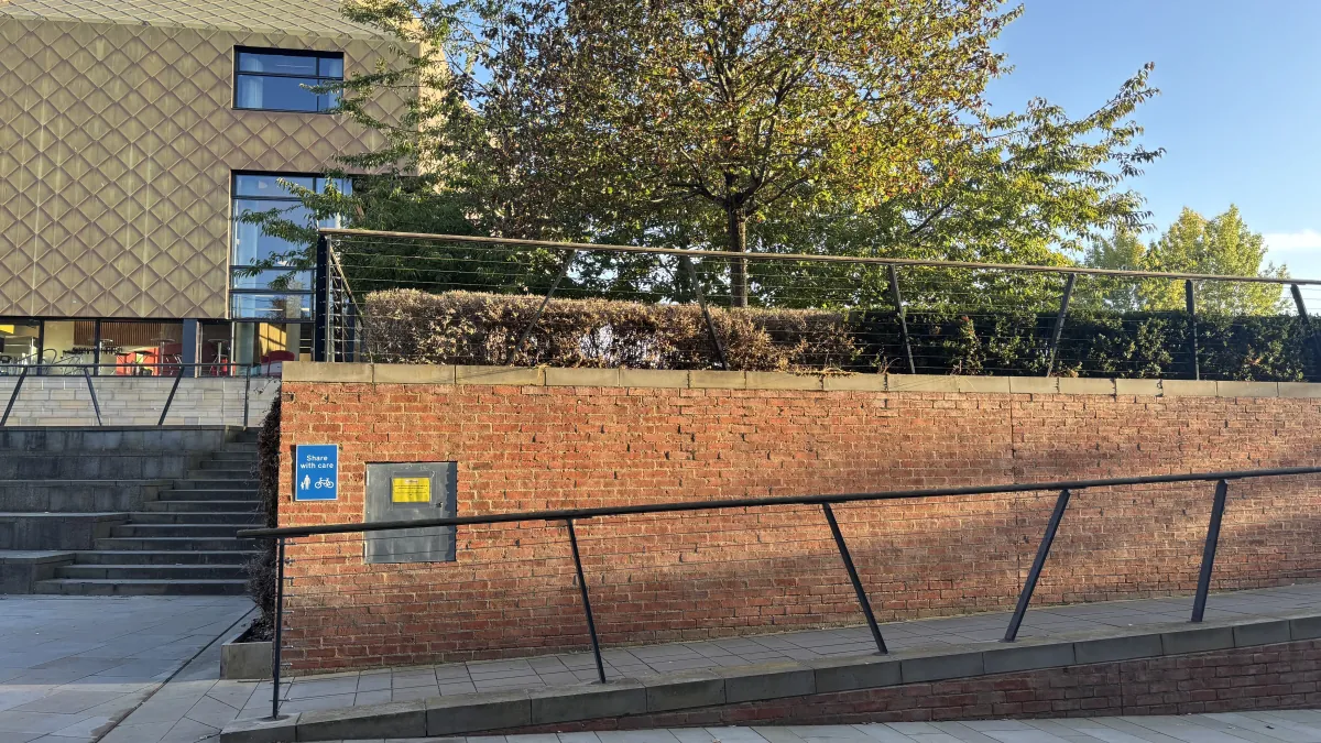A person walking across a cable-railed footbridge into Worcester, framed by the branch of a fruiting pear tree in a riverside park.